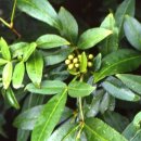 개산초등학교 이미지