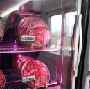 한마음 애견용품 이미지