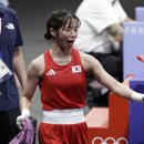 복싱아레나 이미지