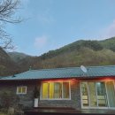 스테이 꿈의대화 이미지