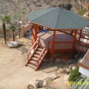 아지랑냉이랑 이미지