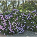 소동연가 이미지