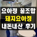 경수초 | 요아정 메뉴 추천 돼지요아정 꿀조합 내돈내산 솔직 후기 성수카페거리점