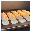 제대로 배워보는 홈트레이닝 이미지