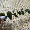 힐링우드 | 루엘디 디퓨저 추천｜집들이선물로 좋은 제주힐링포레스트 &amp; 호텔딥우드 솔직후기