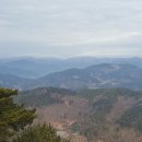 구봉산전망대 이미지