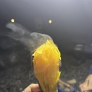 노을스테이 이미지