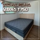 킹&퀸점핑하이 | 신혼 부부 매트리스 가성비 내돈내산 브랜드리스 모피어스 T750 라지킹 글로리아 프레임 메이플 후기 가격