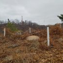 무지내동 태봉 이미지