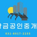 판교우리공인중개사사무소 이미지