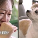 우노 - 강남구 테헤란로70길 10 | 우노