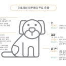 탑스동물병원 이미지