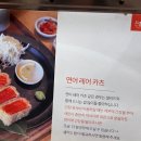 연어레어카츠맛집 일관 후기(feat.연어홀릭)