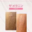 뷰티미담