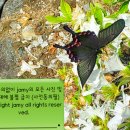 물레방아매점 | 처음으로 느껴본 캠핑의 묘미☆경주 글램핑캠핑장☆