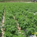 재구농장 이미지