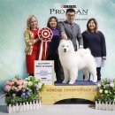 애견용품 할인매장 이미지