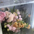 GS25 사당우성 네이버블로그