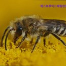 베스트루이스해밀턴호텔 광안점 이미지