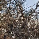 율곡천 3 이미지