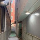 러브원 | 성신여대 속눈썹펌 맛집 러브원 내돈내산 후기