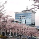 기장군복군기념비 이미지