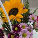 남정초교(병설유치원) 이미지