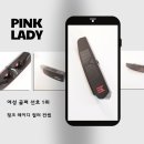 페인팅레이디디자인 이미지