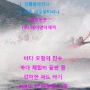 에이앤티레저 이미지