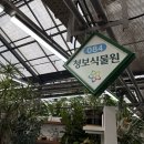 청보화원