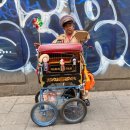 가가약국 | 여자 혼자 멕시코🇲🇽 여행ㅣ① 유나이티드항공+에어비앤비+예술궁전+소깔로광장+바스콘셀로스도서관...