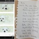 코코졸리1