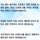 새벽 5시 무단횡단 사망사고 이미지