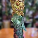 봉연농장 이미지