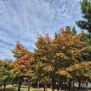 남항근린공원 화장실 이미지