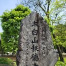 보덕사극락보전 | 영월 보덕사: 일주문, 천왕문, 범종각, 목우실, 극락보전(2024.04.28)