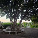 충무공동행정복지센터 이미지