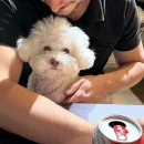 세인트재활빌딩 | 12/9~12/12 토론토 일상