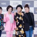 같이삽시다 이미지