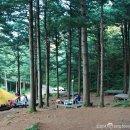 강림면343 이미지