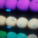 소플러스 앞 횡단보도 이미지