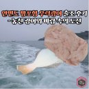 방포항 | 안면도 방포항 우럭광어 출조 후기 – 놓친 광어와 바람 속의 도전