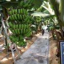 전라남도 농업기술원 과수연구소 이미지