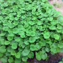 덕재농장 이미지