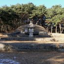 삼한국대부인순흥안씨묘 티스토리
