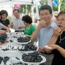 동대전농협 앞 이미지