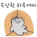 익산역 출발 고군산시간여행 이미지