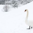 (주)야생 이미지