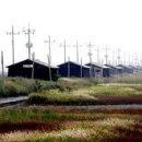 증도농장 이미지