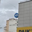 퍼피 그라운드 네이버블로그